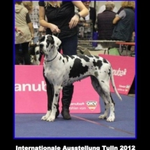 tulln-4-2012