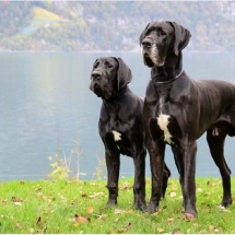Vater und Sohn